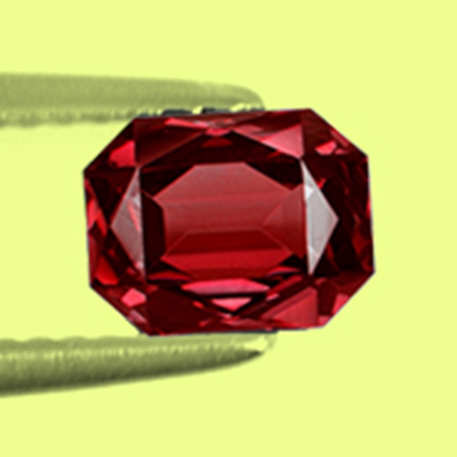 CCGNT031Extra 2a.jpg