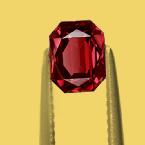 CCGNT031Extra 3a.jpg