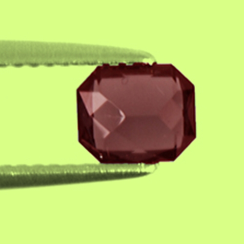 CCGNT031Extra 4a.jpg