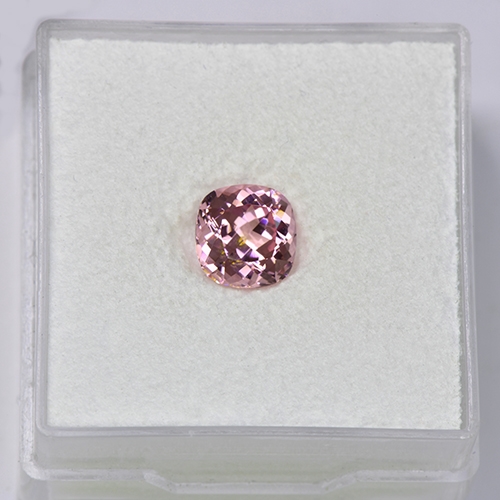 DGC001extra1.jpg