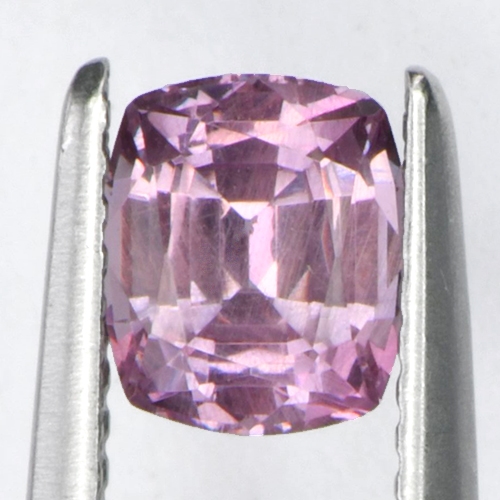 DGC021extra3.jpg