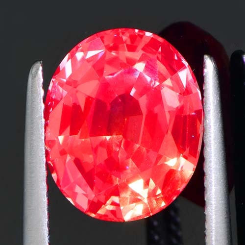 DGC050extra3a.jpg