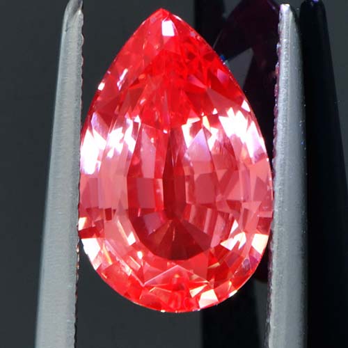 DGC032extra3a.jpg