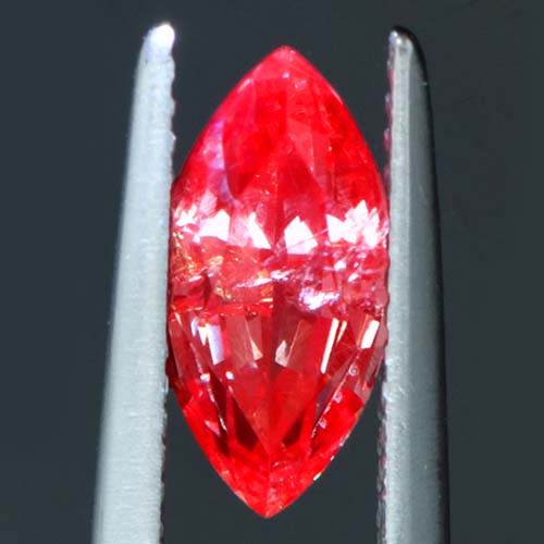 DGC035extra3a.jpg