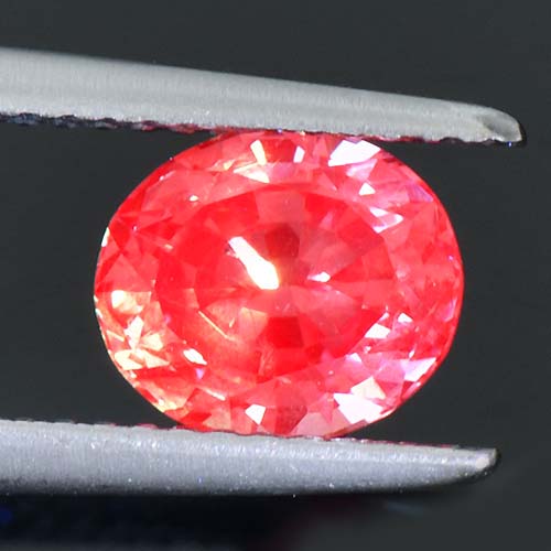 DGC040extra2a.jpg