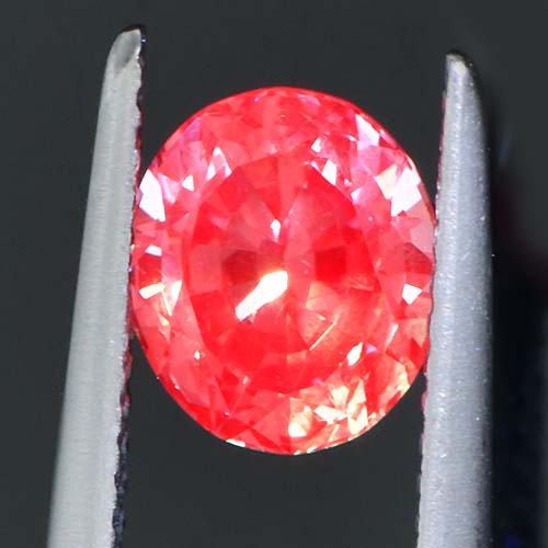 DGC040extra3a.jpg