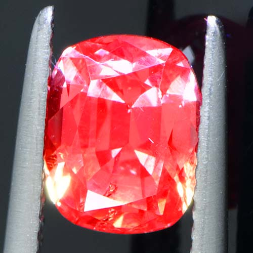 DGC047extra3a.jpg
