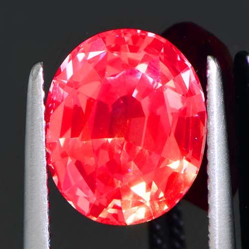 DGC050extra3a.jpg