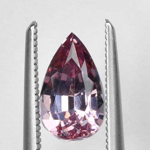 DGC073extra3.jpg